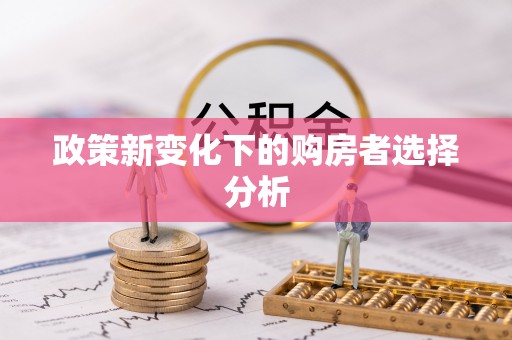 朝阳政策新变化下的购房者选择分析