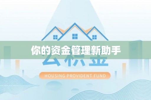 朝阳你的资金管理新助手